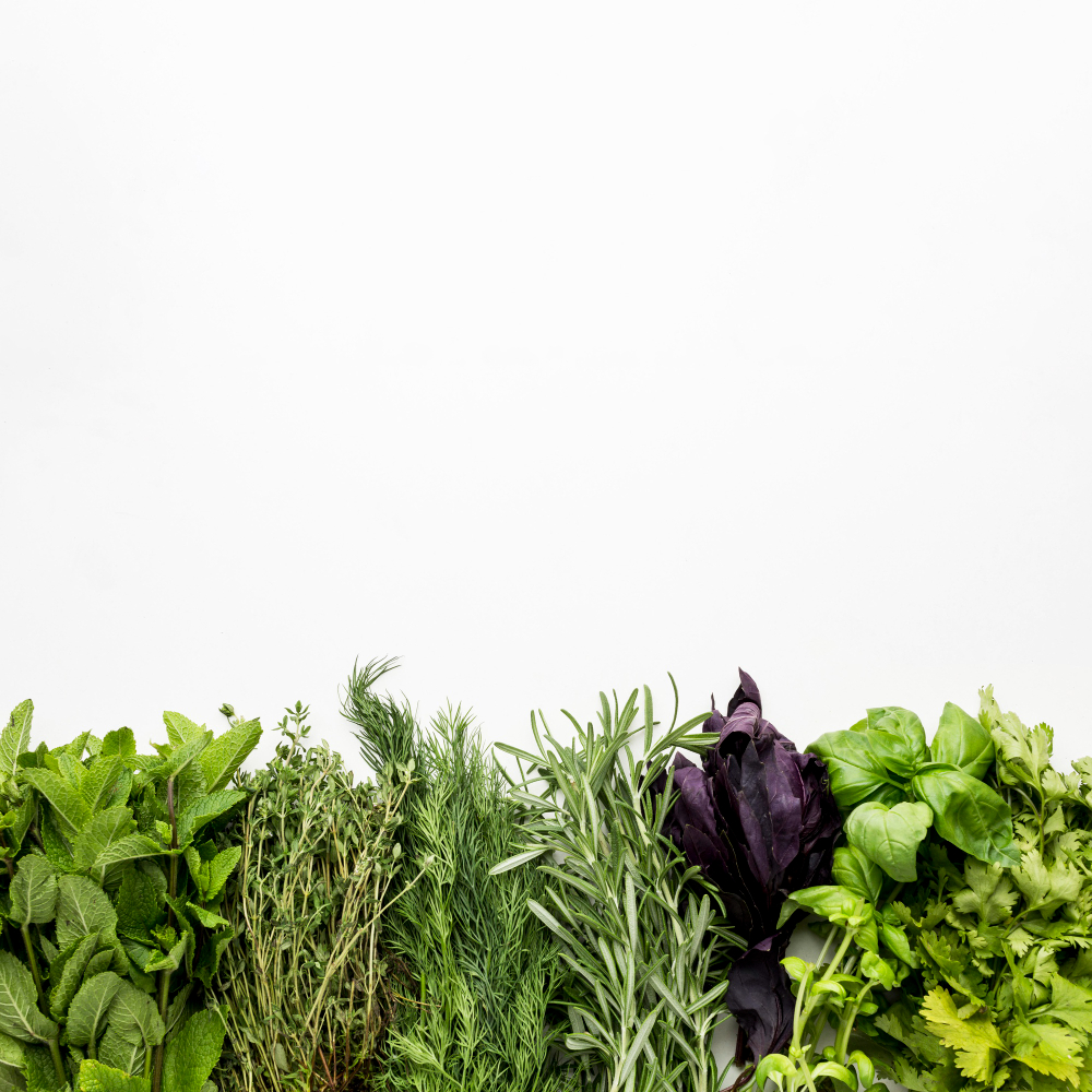 agropemur 2148601198